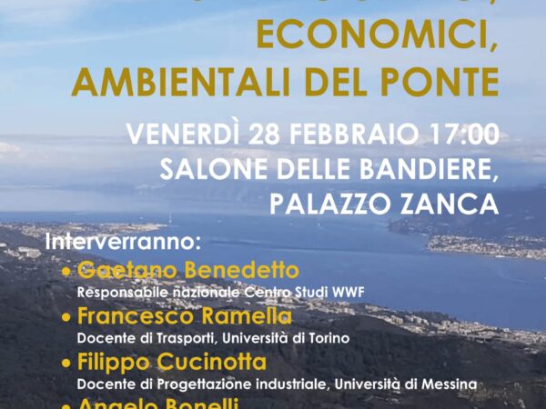 Aspetti giuridici, ambientali ed economici del ponte